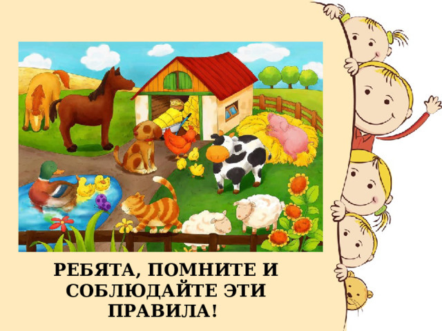 Правила безопасности в общении с животными.